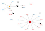 Thumbnail of Relationship between CC and ST for Mycoplasma pneumoniae isolates by eBURST version 3.1 analysis (http://eburst.mlst.net/v3/mlst_datasets/). Data included 417 strains from Japan, 2002–2016, and 62 strains isolated from the United Kingdom, the United States, China, and France. For all isolates, 24 STs were identified. The size of each circle is proportional to the number of isolates for each ST. Red indicates isolates detected in Japan only; blue indicates isolates detected in the Un