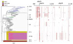 Thumbnail of Phylogenic tree and predicted recombination sites created in Genealogies Unbiased By recomBinations In Nucleotide Sequences (28) by using all Japan and global serotype 15A-ST63 pneumococcal isolates. Branch colors in the tree indicate where the isolates were collected: red, Japan; black, United Kingdom; blue, United States; green, Canada. The column on the right of the tree indicates the main region from which the isolates were derived, meropenem susceptibility, and isolate names. T