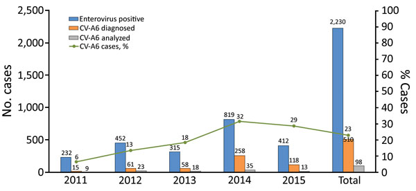 Temporal distribution of PCR-positive hand, foot and mouth disease cases and detection rates of CV-A6 during 2011–2015, Vietnam. CV, coxsackievirus.