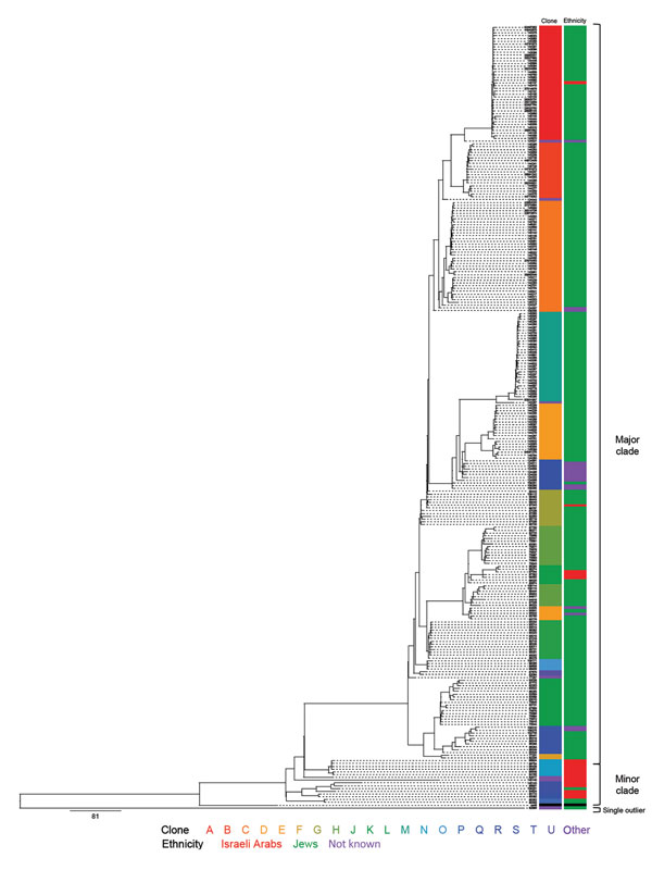 Whole-genome sequencing and phylogenetic analysis of 281 Shigella sonnei isolated in Israel, 2000–2012.