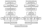 Thumbnail of Flowchart of serologic survey of chikungunya in residents of George Américo, Feira de Santana, and Alto do Cemitério, Riachão de Jacuípe, in Bahia state, Brazil, 2015. Number ranges in paretheses indicate 95% CIs.