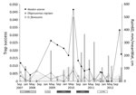 Thumbnail of Trap success (average no. animal captures/trap-night) of known hantavirus rodent host species in Otamendi Natural Reserve, Argentina (lines), monthly accumulated rainfall applying time lags of 2 months (Rain60; gray bars), and mean water level during the month before each trapping session (MeanWat, gray shaded area), September 2007–December 2012. El Niño and La Niña events and their intensities (white, weak; light gray, moderate; and dark gray, strong) are shown below the x-axis.