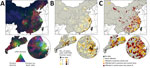 Thumbnail of Distribution of predictor variables and influenza A(H7N9) infections in China, with 3 geographic extents: smallest extent around the location of human cases (top), Guangdong Province (bottom left), and Yangtze River Delta (bottom right). A) Visualization of poultry density (red), live-poultry market density (green), and chicken-to-duck ratio (blue). Dark areas correspond to low values and light areas to high values in all 3 predictors. B) Number of years with &gt;1 human case per co