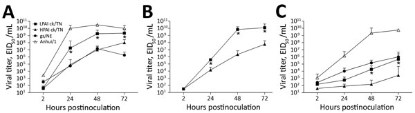 Replication kinetics of avian influenza A(H7N9) influenza viruses in human respiratory tract cells, Tennessee, USA, 2017, compared with strains from Nebraska (gs/NE) and Asia (Anhui/1). Calu-3 cells (American Type Culture Collection, Manassas, VA, USA) were grown to confluence in 12-mm diameter transwell inserts (Corning, Corning, NY, USA), infected apically with viruses shown at a multiplicity of infection of 0.01 (A and C) or 0.001 (B) 1 h, washed, and incubated at 37°C (A and B) or 33°C (C). 