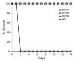 Thumbnail of Role of Bacillus anthracis toxin components in lethality of Sterne strain 34F2 in female A/J mice and nonlethality of B. anthracis Sterne derivatives. Groups of mice were infected subcutaneously with B. anthracis spores of Sterne strain BA500 (34F2) or isogenic strains deficient for different toxin genes TKO-BAP417 (Δcya,Δlef,ΔpagA); DKO-BAP482 (Δcya,Δlef); BAP708- construct 4 (Δcya, Δlef, ΔpagA) plus insert. Fifty percent lethal dose equivalents ranged from ≈106 to 165. Based on a 