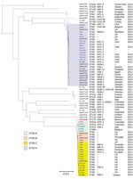 Thumbnail of Phylogenetic tree of the different clades among 51 Enterobacter hormaechei subsp. steigerwaltii ST90 and ST93 isolates identified from Enterobacter spp. isolates collected in the Merck Study for Monitoring Antimicrobial Resistance Trends, 2008–2014, and the AstraZeneca global surveillance program, 2012–2014. The tree is rooted with E. hormaechei subsp. hormaechei isolate ATCC49162. A total  of 317,867 core single-nucleotide polymorphisms were found; 27,705 were used to draw the tree