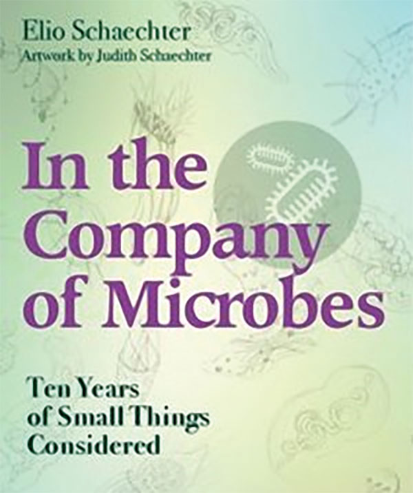 In the Company of Microbes: Ten Years of Small Things Considered