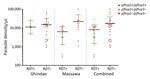 Thumbnail of Plasmodium falciparum histidine-rich protein 2–based malaria RDT results and presence or absence of the pfhrp2/pfhrp3 genes, in relation to parasite density, orizontal lines indicate geometric means a,d Eritrea. Horizontal lines indicate geometric means, and error bars indicate 95% CIs. pfhrp, P. falciparum histidine-rich protein; RDT, rapid diagnostic test; – negative; +, positive.