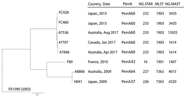 Core single-nucleotide variation (SNV) phylogenetic tree of ceftriaxone-resistant Neisseria gonorrhoeae isolates. The maximum-likelihood phylogenetic tree is rooted on the reference genome of N. gonorrhoeae FA1090 (GenBank accession no. NC_002946.2). Isolates are indicated by country and year. Strains F89, A8806, and H041 (World Health Organization [WHO] reference panel WHO-Y, WHO-Z, and WHO-X, respectively) are previously reported ceftriaxone-resistant reference strains (10). Scale bar indicate