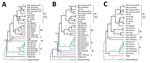 Thumbnail of Phylogeny of the Lassa virus strain from Togo, 2016. Phylogenetic trees were inferred using BEAST2 (https://www.beast2.org/) for full-length glycoprotein precursor (A), nucleoprotein (B), and polymerase (C) genes. The analysis included representative Lassa virus strains and other Old World arenaviruses (Technical Appendix). Posterior support values are shown at the branches. Lassa virus lineages are indicated by roman numbers on the right. The branch for Mopeia and Mobala virus is s