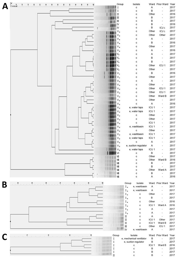 Pulse-field gel electrophoresis dendrograms for 54 clinical isolates and 12 environmental isolates of Elizabethkingia species, Seoul, South Korea, 2017. E. anophelis (40 clinical isolates and 7 environmental isolates) showed 8 pulsotypes (A), E. miricola (10 clinical isolates and 3 environmental isolates) were  pulsotypes (B), and E. meningoseptica (4 clinical isolates and 2 environmental isolates) 2 pulsotypes (C). c, clinical; e, environmental; ICU, intensive care unit. 