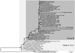 Thumbnail of Maximum-likelihood phylogenetic tree of the HA gene of highly pathogenic avian influenza A(H5N8) virus from Cameroon (bold) and reference viruses. Arrows indicate location where Cameroon viruses were obtained. Bootstrap supports &gt;600/1,000 are indicated next to the nodes. Scale bar indicates numbers of nucleotide substitutions per site.