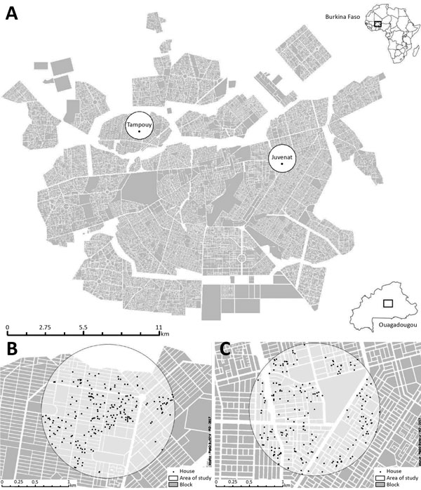 Intervention and control areas for an evaluation of a community-based intervention for dengue vector control conducted in Ouagadougou, Burkina Faso, June–October 2016. A) Ouagadougou overview; inset shows location of Ouagadougou in Burkina Faso. B) Tampouy (intervention neighborhood). C) Juvenat (control neighborhood). 