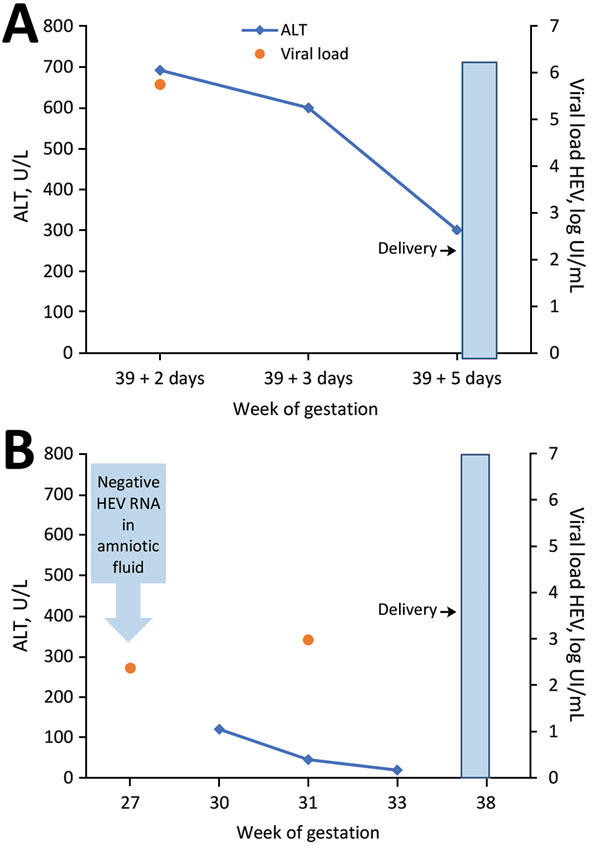 Relationship of HEV RNA and alanine aminotransferase to gestation and delivery time for 2 pregnant women, case-patient 1 (A) and case-patient 2 (B), in Ceeram, La Chapelle sur Erdre, France. Upper limit of normal for ALT values is 40 IU/mL. HEV RNA was quantified by a commercial real-time reserve transcription PCR assay targeting open reading frame 2/3. ALT, alanine aminotransferase; HEV, hepatitis E virus; U/L, units per liter.