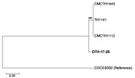 Thumbnail of Core-genome single-nucleotide polymorphism (SNP) phylogeny of Corynebacterium diphtheriae isolate from a 23-year-old man who died from diphtheria (OTH-17-20; bold) and 4 publicly available ST50 genomes (TH1141, GenBank accession no. GCA_001723455.1; CMCTH1443, accession no. GCA_001981275.1; CMCTH1112, accession no. GCA_001981275.1; and CDCE8392, accession no. GCA_000255215.1) of isolates collected from hospitals in Singapore during 2013–2017. Phylogeny was deduced by alignment with 