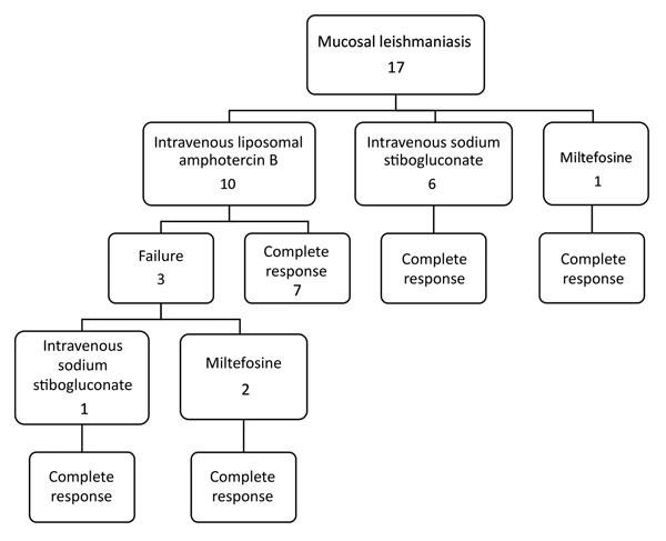 Treatment types and results for patients with mucosal leishmaniasis, Israel, 1993–2015. 