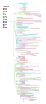 Thumbnail of Bayesian phylogeny of West Nile virus isolates collected in representative regions along the Eastern and Central flyways between 2001 and 2009, United States. Maximum-clade credibility tree was obtained by using a Bayesian approach. The location of each isolate and the inferred location of each ancestor are depicted by color.