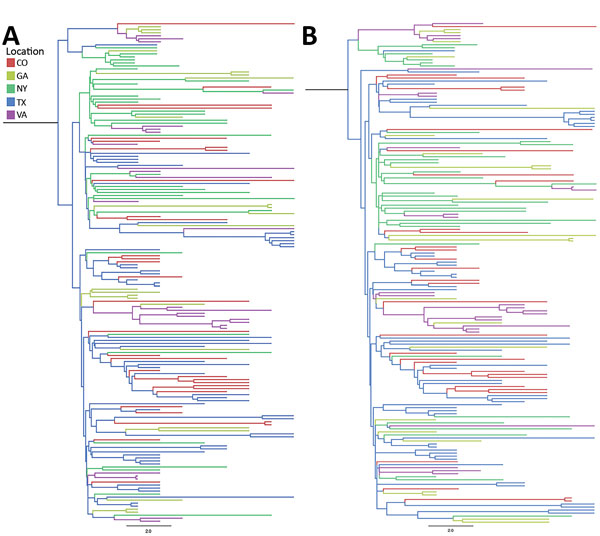 Incidence-controlled phylogeny of Eastern and Central flyways, United States. Sequences were down-sampled such that the number of sequences was proportional to the annual incidence of West Nile neurologic disease incidence for each location between 2001 and 2009. Down-sampling was undertaken twice (A and B) to ensure that the reduction in sequences did not result in a substantial loss of diversity. Illinois, North Dakota, and South Dakota were not included in the incidence-control analysis becau