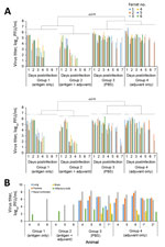 Thumbnail of Virus titers in throat and nasal swab specimens and in the organs of vaccinated and nonvaccinated ferrets challenged with highly pathogenic influenza A(H7N9) virus. A) Virus titers in swab samples. Throat and nasal swabs were collected on days 1–7 postchallenge. Virus titers were determined based on plaque assays in MDCK cells. Statistical significance was determined as described in the Technical Appendix. B) Three ferrets from each group were euthanized on day 4 postchallenge for v