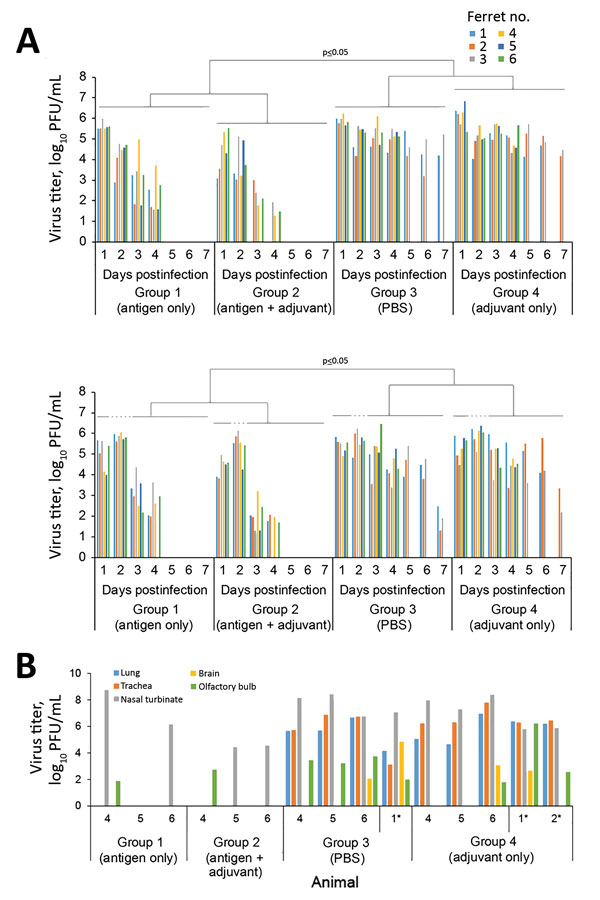 Virus titers in throat and nasal swab specimens and in the organs of vaccinated and nonvaccinated ferrets challenged with highly pathogenic influenza A(H7N9) virus. A) Virus titers in swab samples. Throat and nasal swabs were collected on days 1–7 postchallenge. Virus titers were determined based on plaque assays in MDCK cells. Statistical significance was determined as described in the Technical Appendix. B) Three ferrets from each group were euthanized on day 4 postchallenge for virus titratio