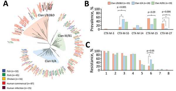 Genomic comparisons of extended-spectrum β-lactamase (ESBL)–producing Escherichia coli from humans, fish, pork, and chicken from Cambodia and differences in human colonization isolates by phylogenetic clan. All isolates were phenotypically resistant to third-generation cephalosporins (data not shown). A) Whole-genome sequence-based phylogenetic tree of 195 ESBL-producing E. coli genomes comprising 87 human colonization isolates, 15 human clinical isolates, and 93 isolates from fish, pork, and ch