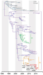 Thumbnail of Evolutionary relationships of the influenza A virus H9-HA gene isolated from avian and human hosts, Pakistan, 1998–2016. The phylogeny was generated using the uncorrelated lognormal relaxed molecular clock, the SRD06 codon position model, HKY85 plus gamma substitution model, and a Gaussian Markov random field (GMRF) Bayesian skyride in BEAST version 1.8.4. Two independent runs of 100 million Markov chain Monte Carlo generations were performed. Horizontal node bars represent the 95% 