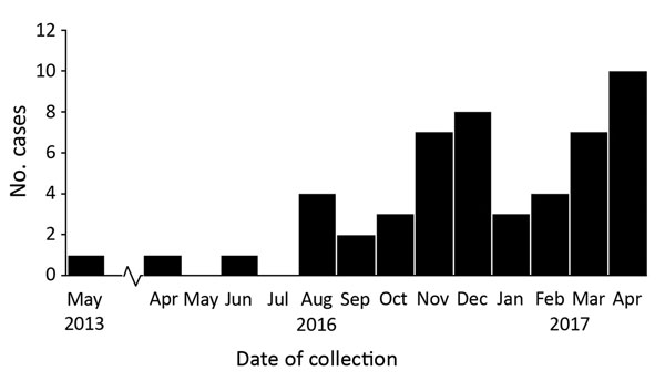 Number of confirmed clinical cases of Candida auris in New York, USA, May 2013–April 2017. Dates indicate the month that the first sample positive for C. auris was collected. The cases from May 2013, April 2016, and June 2016 were retrospectively identified after the June 2016 clinical alert from the Centers for Disease Control and Prevention was issued (19). The case from 2013, in a patient who had traveled to New York City from abroad for medical care, was probably a distinct importation with 