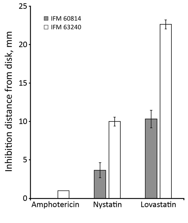 Growth inhibition by lovastatin and polyene drugs in azole-susceptible and azole-resistant Aspergillus fumigatus isolates from a patient in Japan. Growth inhibition tests were conducted by disk assay. IFM 60814 is a susceptible isolate identified on the first date of testing; IFM 63240 is a resistant isolate identified on the third date of testing, with mutations in hmg1. The results of repeated experiments are expressed as mean ± SD (error bars).