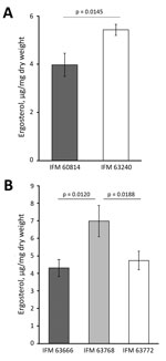 Thumbnail of Total ergosterol content of azole-susceptible and azole-resistant Aspergillus fumigatus isolates in Japan. Ergosterol was quantified in the sets of IFM 60814, a susceptible isolate identified on the first date of testing, and IFM 63420, a resistant isolate identified on the third date of testing, both from 1 patient (A); and IFM 63666, IFM 63768, and IFM 63772, all isolated from other patients in the same hospital (B). The results of repeated experiments are expressed as mean ± SD (