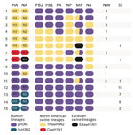 Thumbnail of Genetic diversity of influenza A viruses (IAVs) circulating in swine in southeast and northwest Mexico. Fifteen genotypes were identified by surveillance in swine herds in Mexico during 2010–2014. Each oval represents 1 of the 8 segments of the virus genome. The surface antigens HA and NA are listed first, followed by the 6 internal gene segments. Shading of each oval corresponds to 1 of 5 major genetic lineages of swine IAV circulating in humans and swine globally. The rightmost co