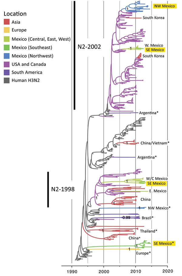 Evolutionary relationships between N2 segments of avian influenza viruses collected in humans and swine globally. Time-scaled Bayesian maximum clade credibility tree is inferred for N2 segment. Labeling and shading is similar to that in Figure 4, with the additional labeling of the N2–1998 and N2–2002 lineages. NW, northwest; SE, southeast; W, west; W/C, west/central. *Direct introduction from humans. A more detailed phylogeny, including tip labels and all posterior probabilities, is provided in