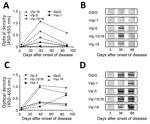 Thumbnail of Results of GlpQ and variable major proteins (Vmps) IgM and IgG ELISA and confirmatory Western blot tests in testing of 72-year-old woman in the Netherlands who showed evidence of Borrelia miyamotoi disease. A) Anti-GlpQ and anti–Vmps IgM ELISA results representative of 3 individual ELISAs. B) Confirmatory IgM Western blot results of samples taken at 3 different time points with recombinant proteins. C) Anti-GlpQ and anti–Vmps IgG ELISA results representative of 3 individual ELISAs. 