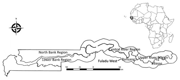 Regions surveilled for Staphylococcus aureus bacteremia among children &lt;5 years of age through the Basse and Fuladu West Health and Demographic Surveillance Systems, The Gambia, 2008–2015. Inset indicates location of The Gambia in Africa.