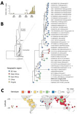 Thumbnail of Investigation of DENV infections in Luanda, Angola, January 1, 2016–May 15, 2018A) Number of DENV infections (i.e., cases positive for DENV NS1), Luanda, Angola, May 1, 2017–May 15, 2018. B) Midpoint rooted maximum-likelihood phylogeny of DENV-2 whole genomes. Support for branching structure is shown by bootstrap values at nodes. On the right side, the cosmopolitan genotype clade containing the Angola DENV-2 sequence is expanded. Colors indicate geographic location of sampling. The 