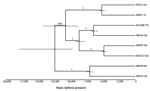 Thumbnail of Bayesian phylogenetic analyses of 8 isolates of Cryptococcus gattii sensu stricto from the southeastern United States. We used BEAST 1.8.4 software (http://beast.community) to produce calibrated phylogenies with the mean estimates of time to most recent common ancestor. The tips of the branches correspond to the year of sampling. Dotted node bars are shown for each node and indicate 95% CIs for the timing estimate. The timeline represents years before the present day.