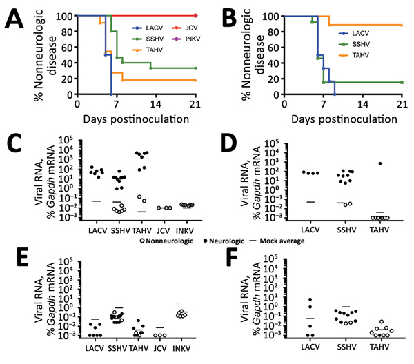 Neuroinvasiveness of California serogroup (CSG) viruses in weanling C57BL/6 mice after intraperitoneal inoculation in study of neuropathogenesis. We inoculated 5–15 mice per group with 105 PFU of each virus (A) and 6–13 mice per group with 103 PFU of LACV, SSHV, or TAHV (B). Brains and spleens of mice were collected at the experimental endpoint and evaluated for viral RNA by quantitative reverse transcription PCR with virus-specific primers. The average of 3 mock controls is reported for each pr