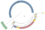 Thumbnail of Single-nucleotide polymorphism (SNP) analysis of isolates from study of Legionella pneumophila in tap water, Flint, Michigan, USA. Analysis was conducted in kSNP3.0 (https://sourceforge.net/projects/ksnp/) and visualized by using FigTree 14.3 (https://github.com/rambaut/figtree/releases/tag/v1.4.3). Isolate sources: yellow, clinical samples; blue, hospital water; red, residence water; purple, public building water; green, buildings supplied by well water. With the exception of build