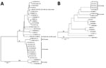 Thumbnail of Phylogenetic analysis of HAV sequences from California, USA, and reference sequences. A) Comparison of VP1–P2B sequences obtained for 160 specimens. The number of specimens represented by each VP1–P2B sequence is indicated within parentheses. B) Comparison of nearly complete genome sequences (7,306 nt) for representative subgenotype IB cluster strains with HAV IB strain sequences found in GenBank. The genome sequence (M14707.1) represents the IB reference strain (HM175). A HAV subge