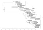 Thumbnail of Maximum clade credibility tree based on analysis of 58 complete Ross River virus E2 sequences (1,266 nt) from outbreaks among Australian Defence Force personnel during and after training in Shoalwater Bay Training Area, northeastern Australia, 2016–2017. Isolated were classified into 2 distinct sublineages in lineage III. We used Bayesian phylogenetic analysis method in BEAST software (http://beast.community) to analyze the aligned E2 sequences, applying the TN93 plus gamma substitu