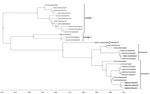 Thumbnail of Maximum clade credibility tree based on analysis of 32 complete Ross River virus nsP3 sequences (1,650 nt) from outbreaks among Australian Defence Force personnel during and after training in Shoalwater Bay Training Area, northeastern Australia, 2016–2017. Isolated were classified into 2 distinct sublineages in lineage III. We used Bayesian phylogenetic analysis method in BEAST software (http://beast.community) to analyze the aligned nsP3 sequences, applying the TN93 plus gamma subs