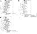 Thumbnail of Phylogenetic comparison of the complete segments of Rift Valley fever viruses from South Africa, 2018, and reference isolates. A) Large segment; B) medium segment; C) small segment. Distinct clusters separate the isolates into 10 lineages (A, C, E, G, H, I, K, L, N, and M). Sequences RV2613/RSA/2018 are marked as South Africa, Jacobsdal (FS), 2018 in cluster K. GenBank accession numbers are provided. FS, Free State.