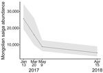 Thumbnail of Saiga population in Mongolia during the outbreak of peste des petits ruminants in 2017 and the next year. Shaded area represent 95% CIs around abundance estimates.