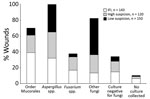 Thumbnail of Wound culture mycology distribution, by wound classification, in study of US military patients who had laboratory evidence of fungal infection after battlefield trauma in Afghanistan, June 1, 2009–December 31, 2014. Because wound infections were polymicrobial, organisms are not mutually exclusive for a classification type. IFI, invasive fungal infection; other fungi, filamentous fungi other than order Mucorales, Aspergillus spp., and Fusarium spp. 