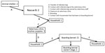 Thumbnail of Suspected transmission pathways for canine influenza cluster 3b, Ontario, Canada, 2017–2018. Numbers in each box denote the number of confirmed (PCR positive) CIV infections.