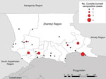 Thumbnail of Number of Coxiella burnetii–seropositive cases in villages included in serologic survey for tickborne diseases, Zhambyl Region, Kazakhstan. Circle size denotes the number of IgG antibody–positive serology results indicating past exposure to C. burnetii.