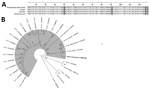 Thumbnail of Test results for woman with disseminated Versteria sp. cestode infection, Pennsylvania, USA. A) Sequence of the 129-bp fragment of cytochrome c oxidase subunit 1 (cox1) gene from patient compared with 3 closely related Versteria sp. isolates from the United States. Shading indicates differing nucleotides. B) Phylogenetic tree based on the cox1 gene of all reported Vm cox1 sequences with country of origin and other clinically relevant cestodes; GenBank accession numbers are provided.