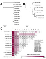 Thumbnail of Genetic relationships of Candida auris isolates based on whole-genome sequencing SNP analysis. A) Maximum-likelihood phylogeny of C. auris isolates from Germany (indicated by NRZ prefix) inferred to reveal a possible geographic origin. The isolates were contrasted against strains representing the 4 different clades of C. auris: South American (strain B114243 from Venezuela), East Asian (B11220 from Japan), South African (B11221 from South Africa), and South Asian (B8441 from Pakista