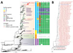 Thumbnail of Phylogeny of influenza A(H5N6) viruses collected in, Guangdong Province, China, January 2013–October 2018, compared with reference isolates. A) Viruses of clade 2.3.4.4 H5N6 viruses are divided into 4 subgroups (I-V) on the basis of the surface genes (HA and NA). Colors in key distinguish surface and internal genes. The A/chicken/Guizhou/4/2013 (Re-8) vaccine strain and viral strains used for HI testing are labeled. The 2018 human H5N6 isolate from Guangdong province is blue, human 