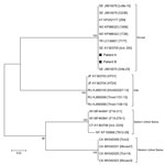 Thumbnail of Phylogenetic tree based on 16S-23S intergenic spacer region sequences of Borrelia miyamotoi from 2 patients in Sweden, 2018 (patients A and B, black squares), and reference sequences. Tree constructed using the maximum-likelihood method based on the Tamura-Nei model and complete deletion. Sequences detected from patients in this study were deposited into GenBank under accession nos. MK458687 (patient A) and MK458688 (patient B). The source of each reference sequence is indicated by 