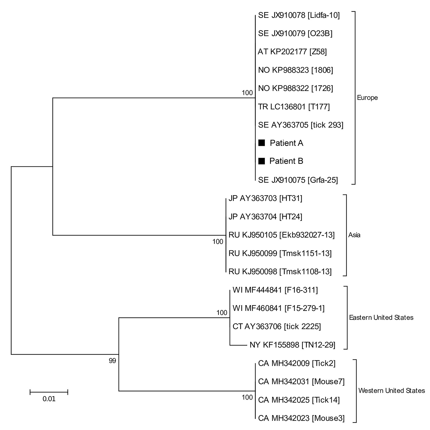 Phylogenetic tree based on 16S-23S intergenic spacer region sequences of Borrelia miyamotoi from 2 patients in Sweden, 2018 (patients A and B, black squares), and reference sequences. Tree constructed using the maximum-likelihood method based on the Tamura-Nei model and complete deletion. Sequences detected from patients in this study were deposited into GenBank under accession nos. MK458687 (patient A) and MK458688 (patient B). The source of each reference sequence is indicated by an accession 